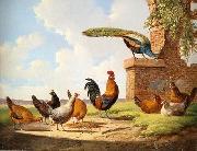 unknow artist Cocks 058 France oil painting artist